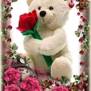 Meet your Posher, Antelma